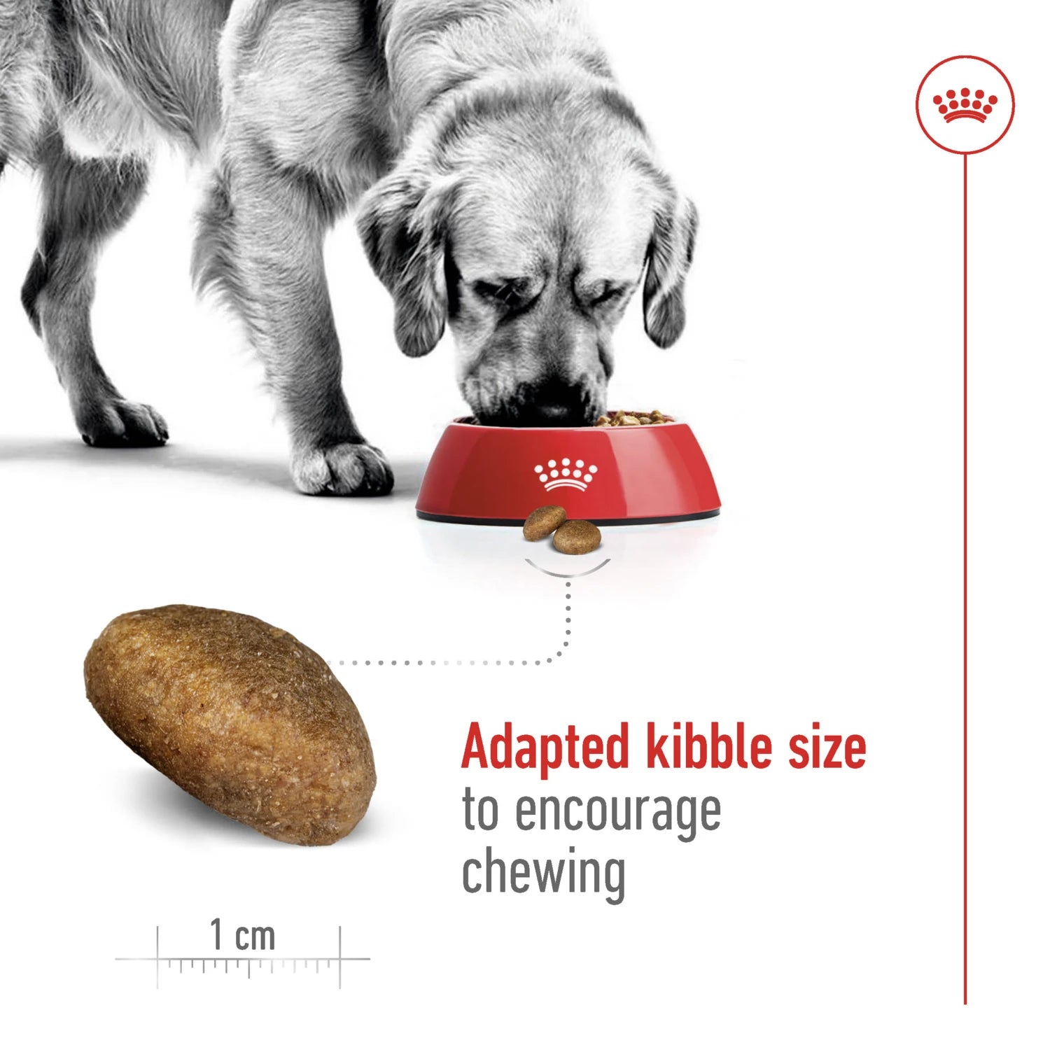 Royal Canin Size Health Nutrition Maxi Adult 4 kg