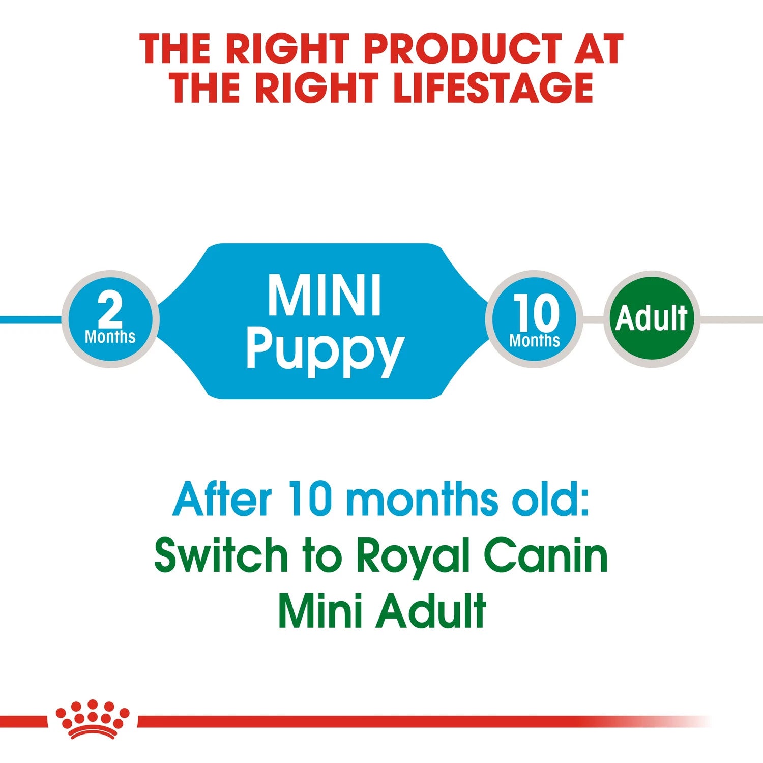 Royal Canin Size Health Nutrition Mini Puppy 8 kg