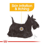 Canine Care Nutrition Mini Dermacomfort 3 kg