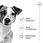 Royal Canin Size Health Nutrition Mini Adult 2 kg