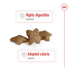 Royal Canin Size Health Nutrition Mini Adult 2 kg