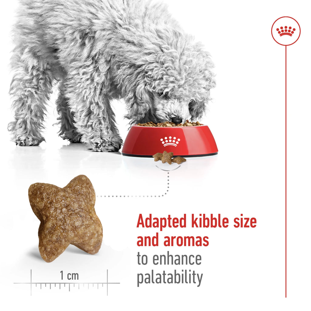 Royal Canin Size Health Nutrition Mini Adult 2 kg