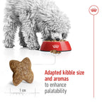 Royal Canin Size Health Nutrition Mini Adult 2 kg