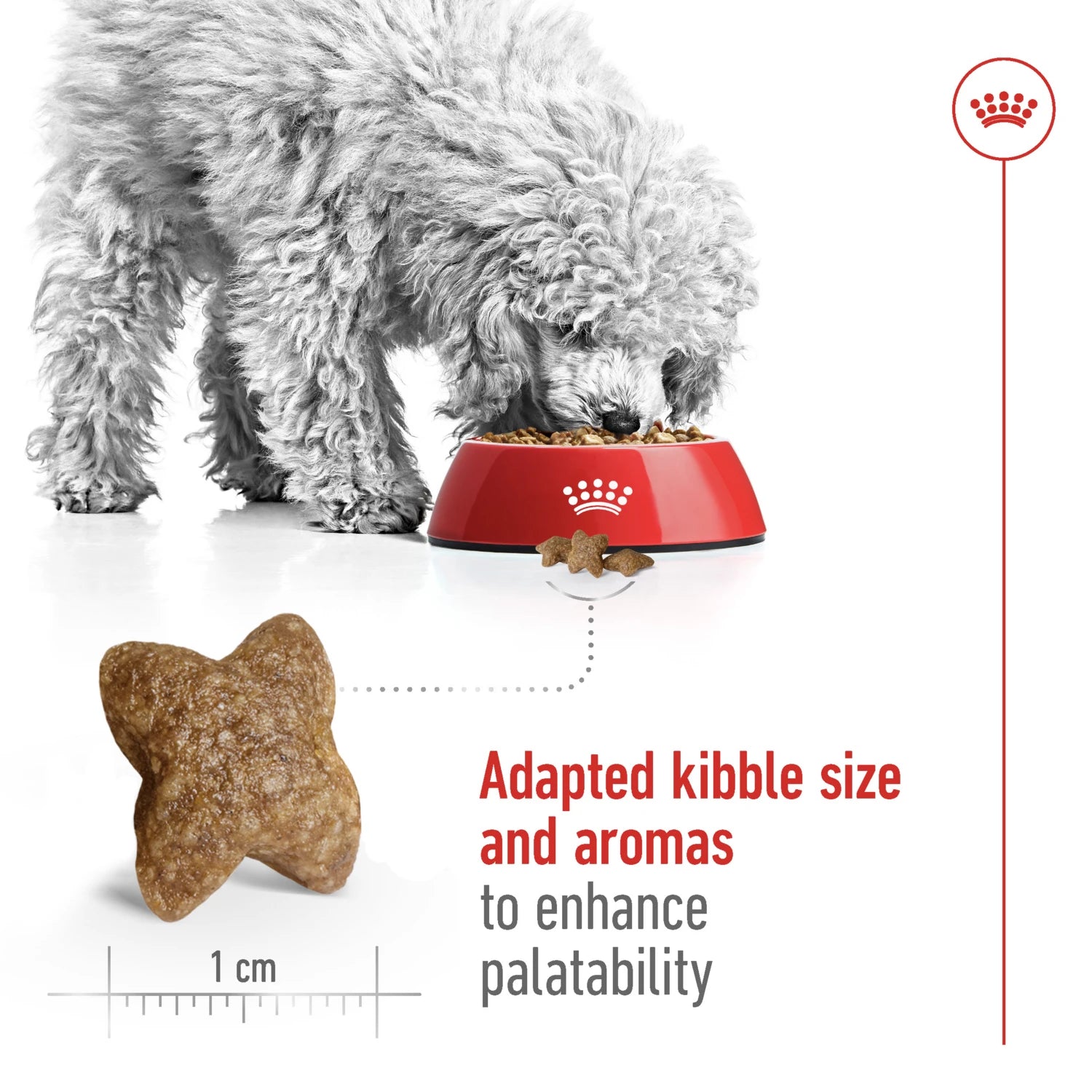 Royal Canin Size Health Nutrition Mini Adult 2 kg