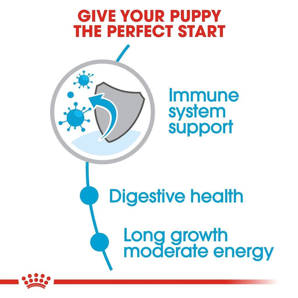 Royal Canin Size Health Nutrition Maxi Puppy 4 kg