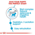 Royal Canin Size Health Nutrition Mini Starter 1 kg