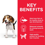 Hill's Science Plan Medium Puppy Food with Chicken
