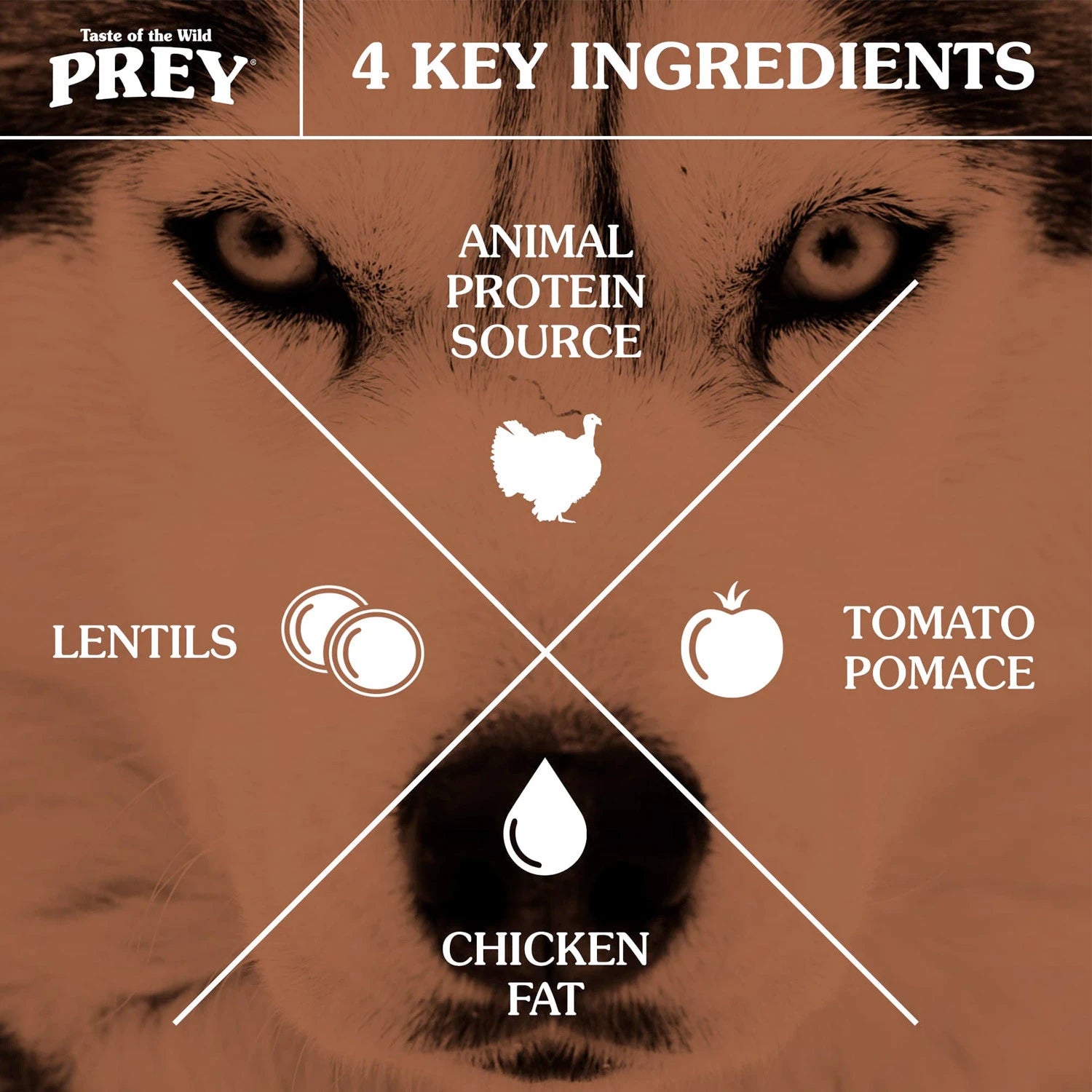 PREY Angus Beef Limited Ingredient Formula - 3.63kg (8 lbs)