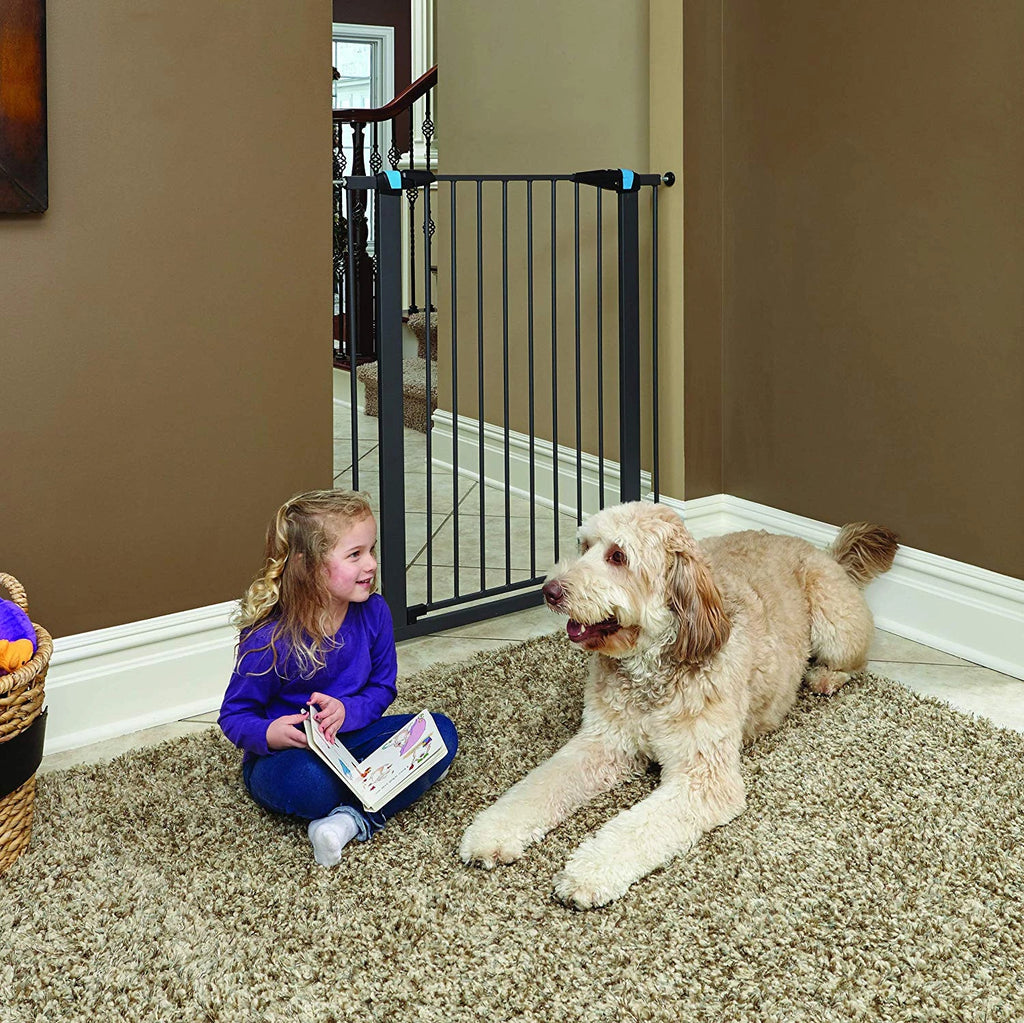 Graphite Glow in the Dark Steel Pet Gate - 39"