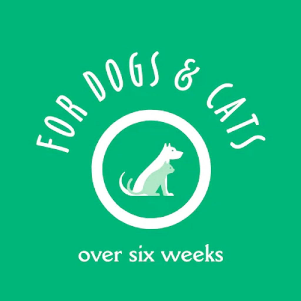 Earthbath Tooth & Gum Wipes - 50 Pet Wipes