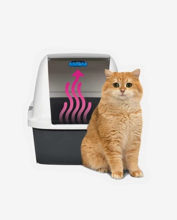 Magic Blue Airpurifier for Litter boxes