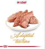 Royal Canin Feline Breed Nutrition Persian (Wet Food - Pouches) 12 x 85 g