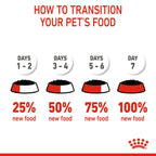 Royal Canin Feline Health Nutrition Kitten Sterilised Jelly (Wet Food - Pouches) 12 x 85 g
