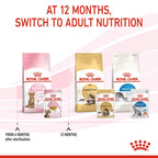 Royal Canin Feline Health Nutrition Kitten Sterilised Jelly (Wet Food - Pouches) 12 x 85 g