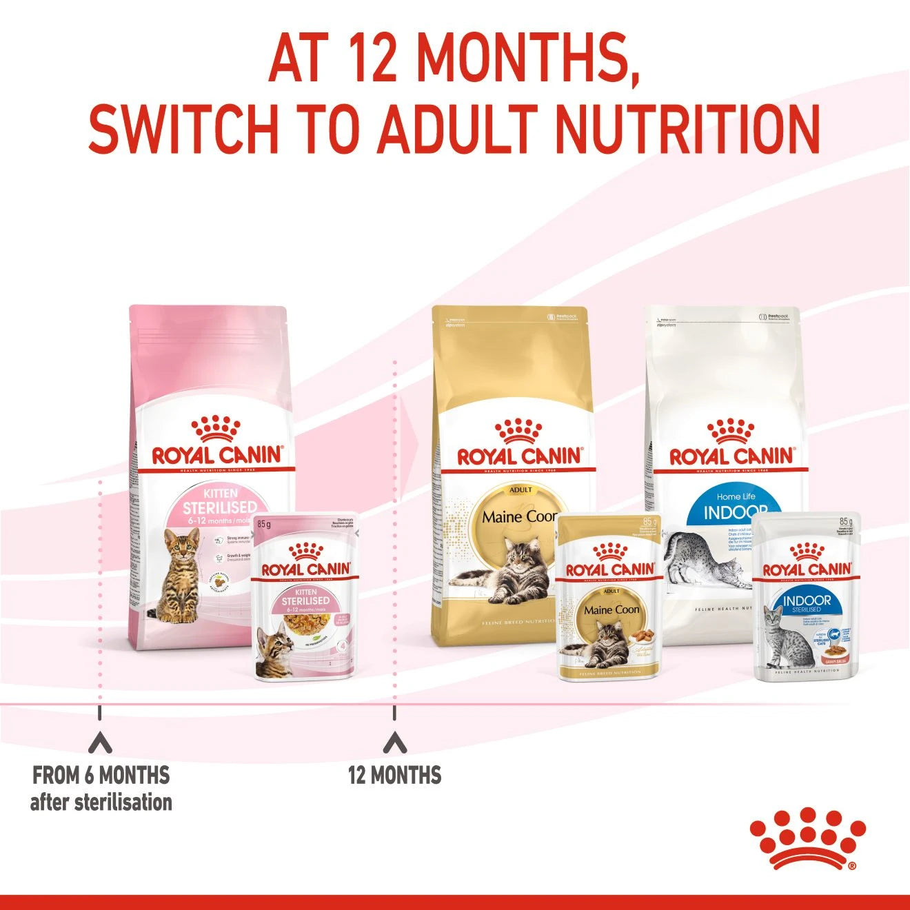 Royal Canin Feline Health Nutrition Kitten Sterilised Jelly (Wet Food - Pouches) 12 x 85 g