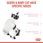 Royal Canin Feline Health Nutrition Mother and Babycat 2 kg