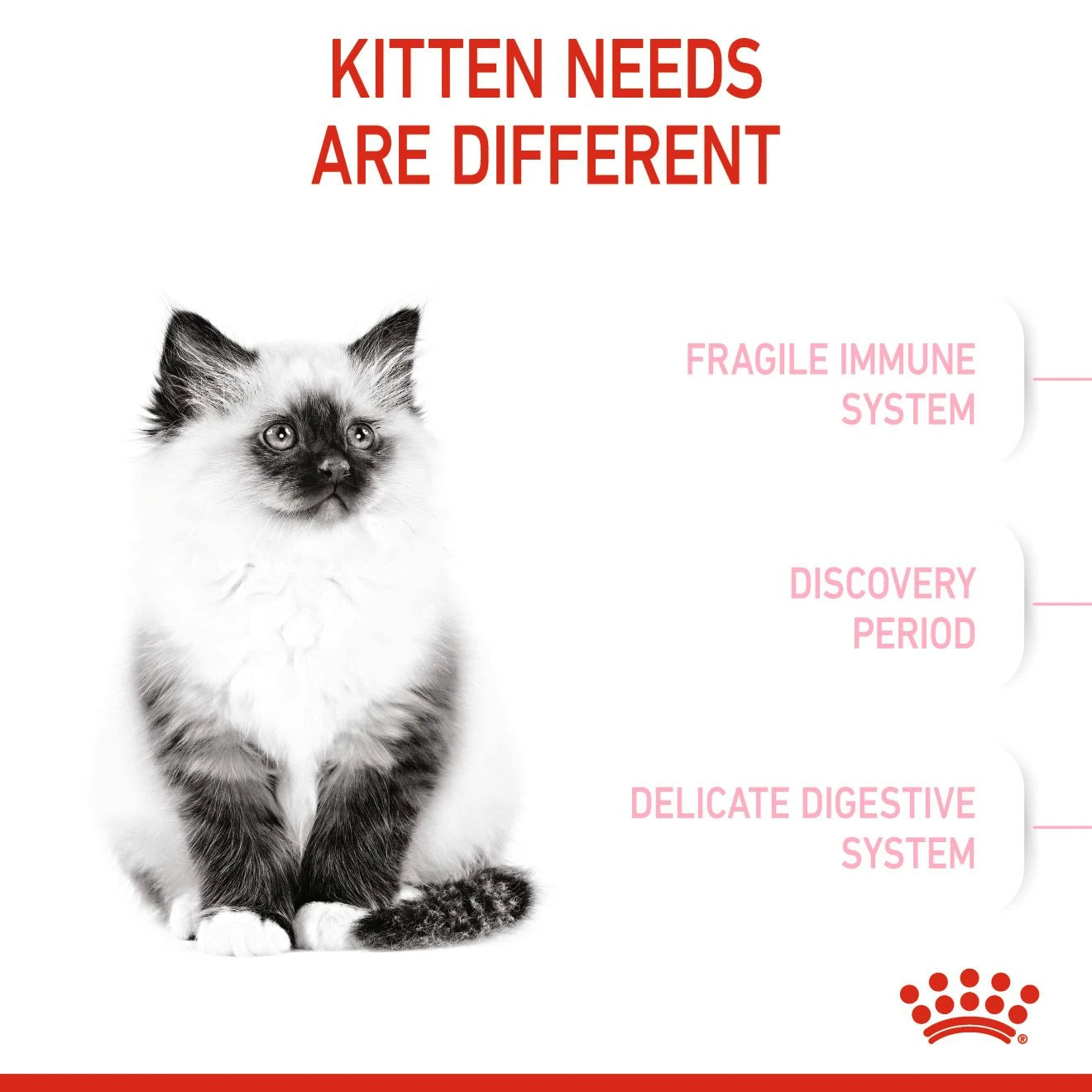 Royal Canin Feline Health Nutrition Kitten 2 kg