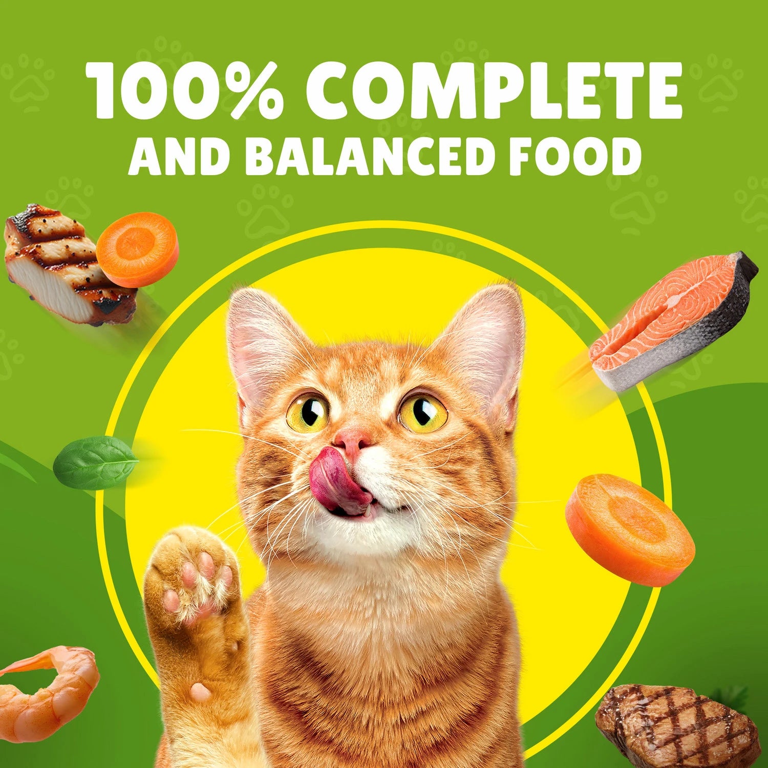 FRISKIES CAT CHICKEN WITH VEG 400G-CAN