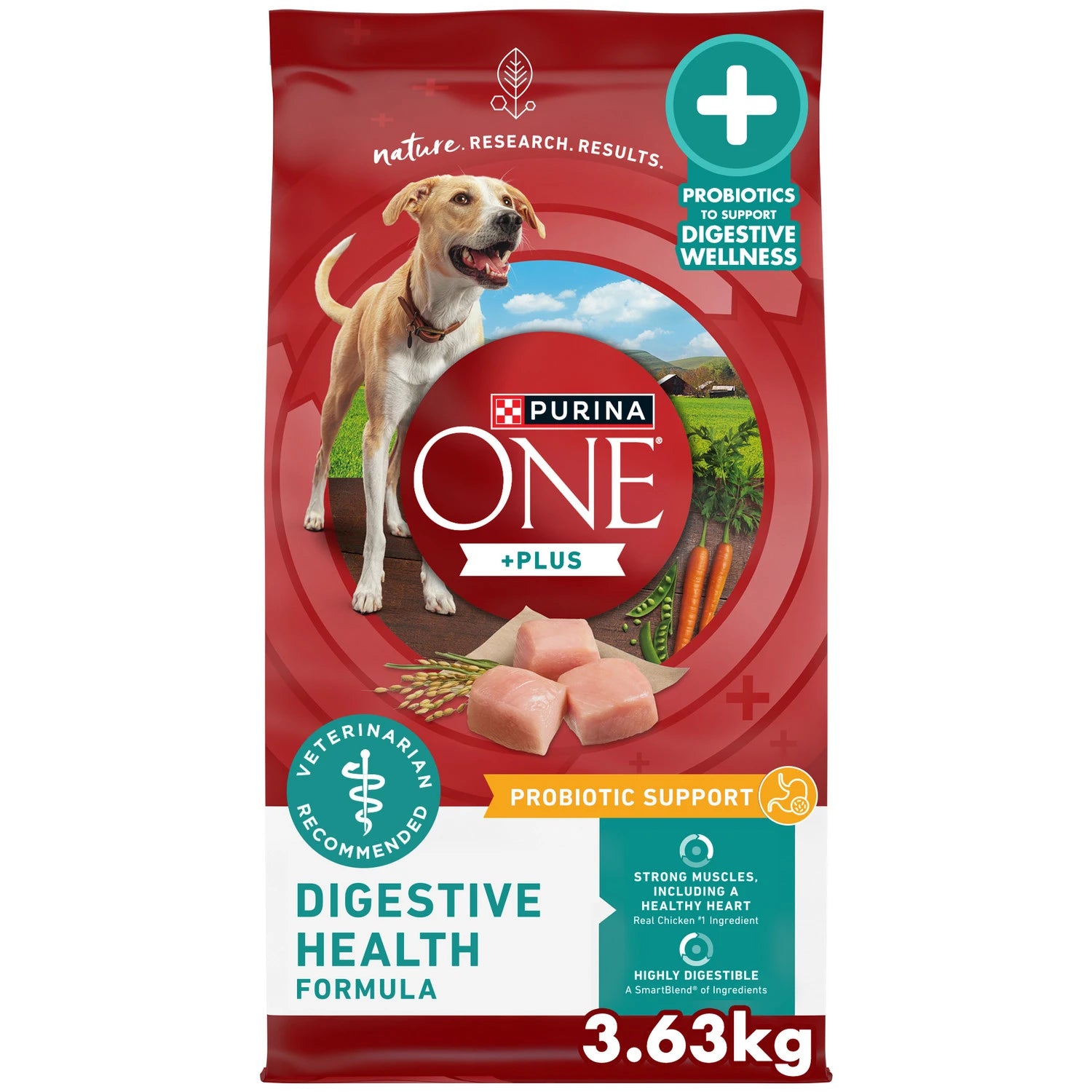 PURINA ONE HEALTHY ADULT WITH OCEAN FISH POUCH 70GX 12