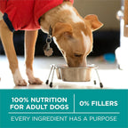 PURINA ONE HEALTHY ADULT WITH OCEAN FISH POUCH 70GX 12