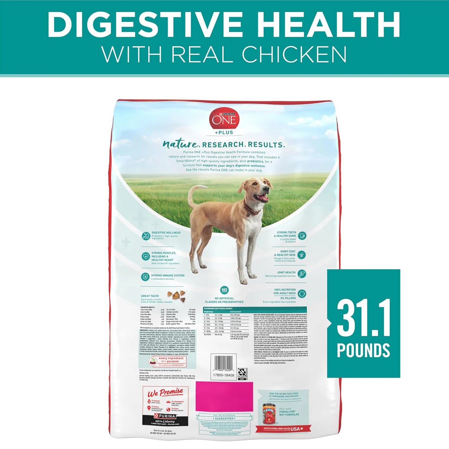 PURINA ONE HEALTHY ADULT WITH OCEAN FISH POUCH 70GX 12