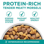 PURINA ONE HEALTHY ADULT WITH OCEAN FISH POUCH 70GX 12