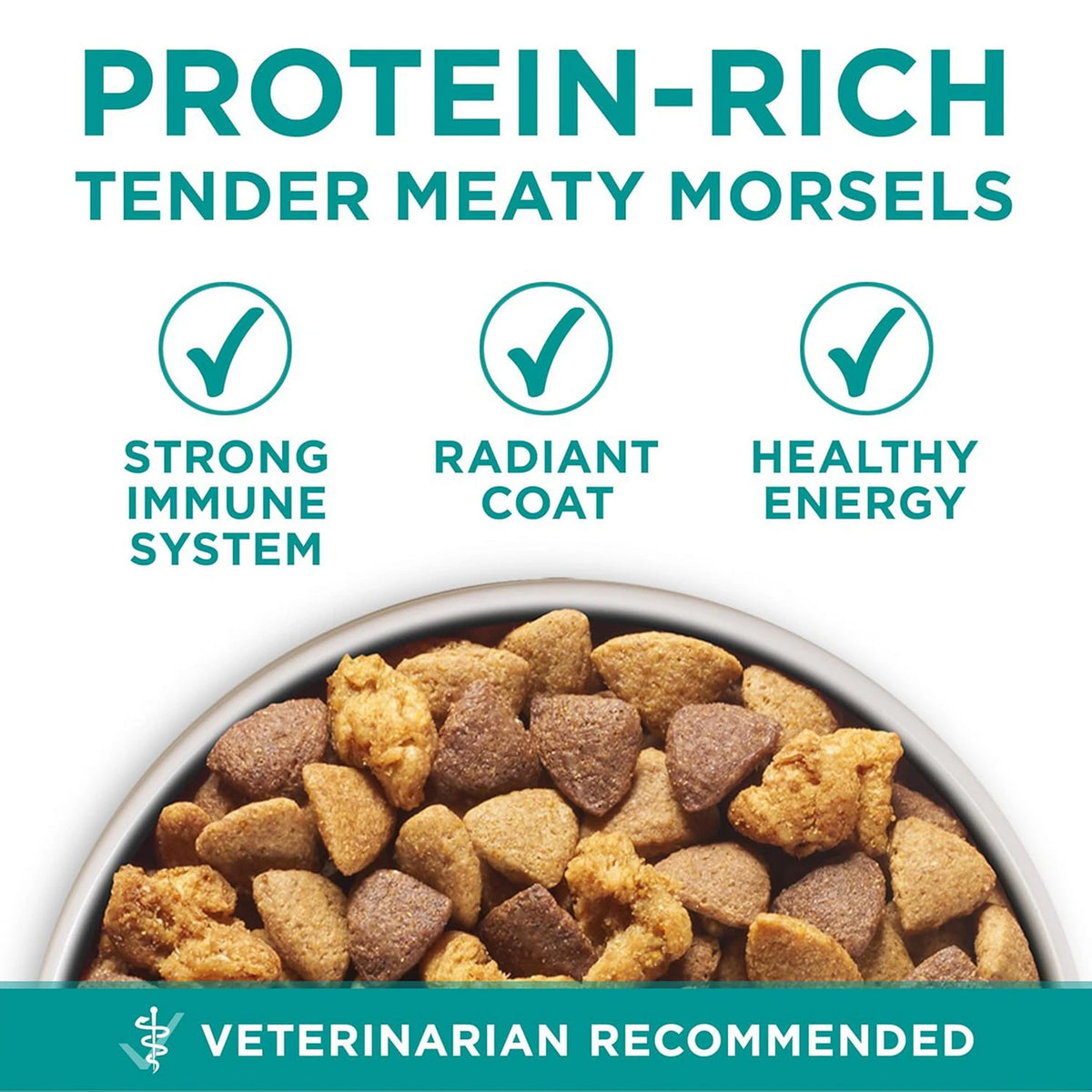 PURINA ONE HEALTHY ADULT WITH OCEAN FISH POUCH 70GX 12