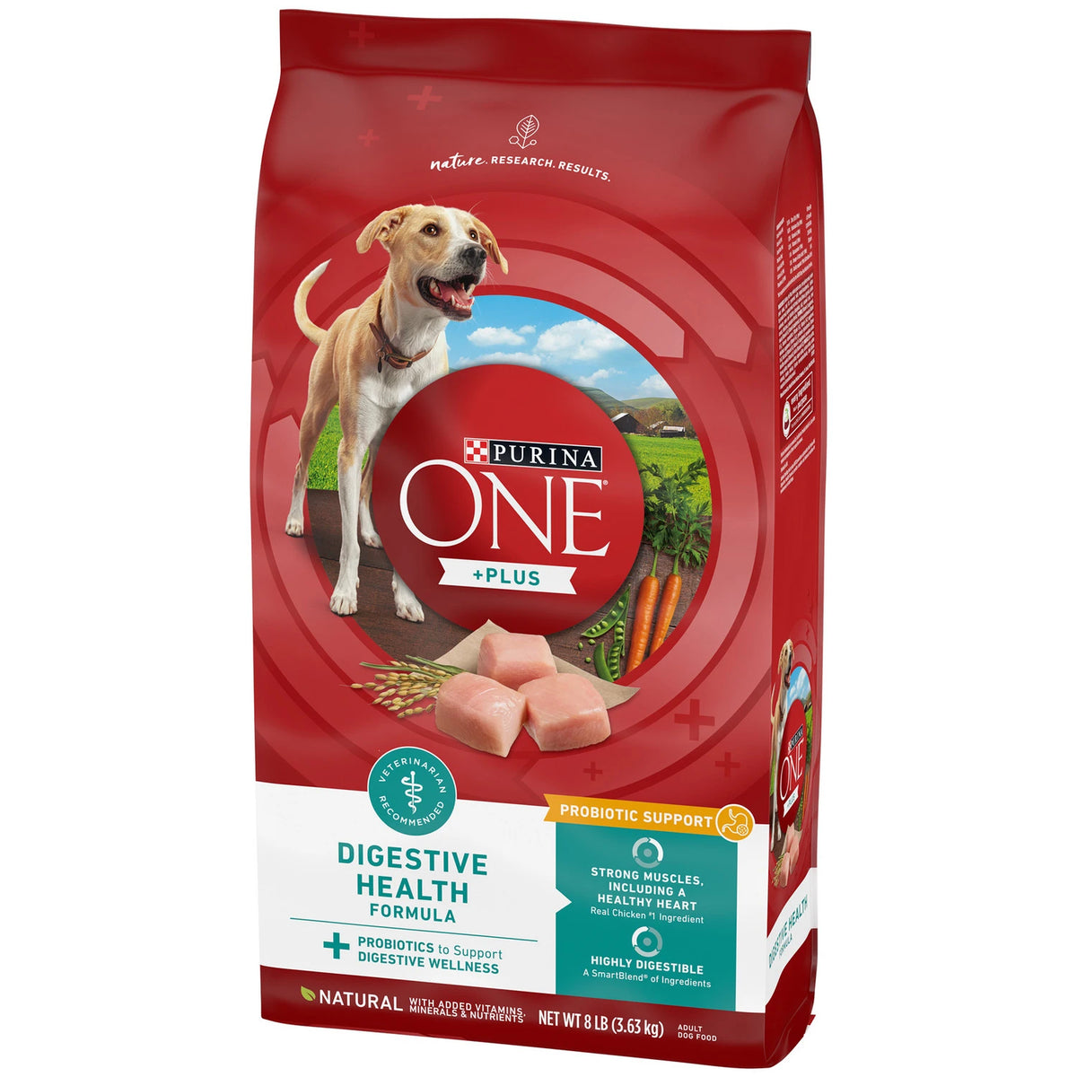 PURINA ONE HEALTHY ADULT WITH OCEAN FISH POUCH 70GX 12