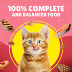 Felix Kitten As Good As It Looks Kitten Menus in Jelly Wet Cat Food (85g x12)