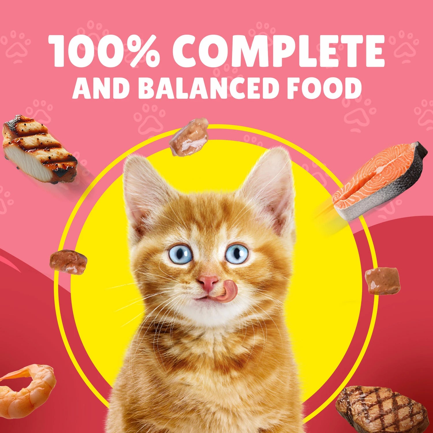 Felix Kitten As Good As It Looks Kitten Menus in Jelly Wet Cat Food (85g x12)