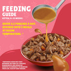 Felix Kitten As Good As It Looks Kitten Menus in Jelly Wet Cat Food (85g x12)