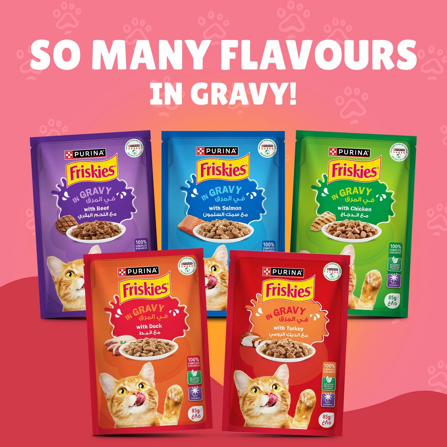 Felix Kitten As Good As It Looks Kitten Menus in Jelly Wet Cat Food (85g x12)