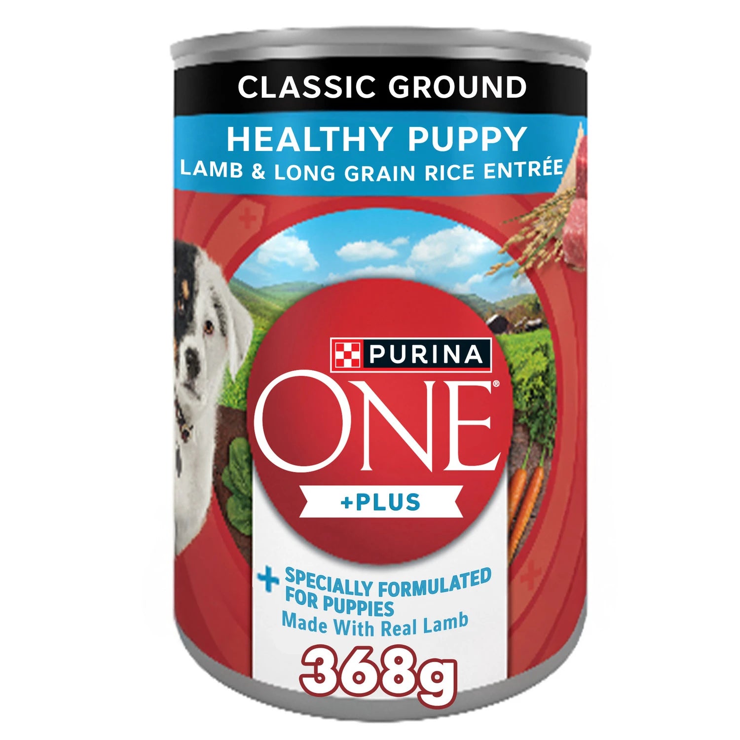 PURINA ONE HEALTHY PUPPY FORMULA - CAN