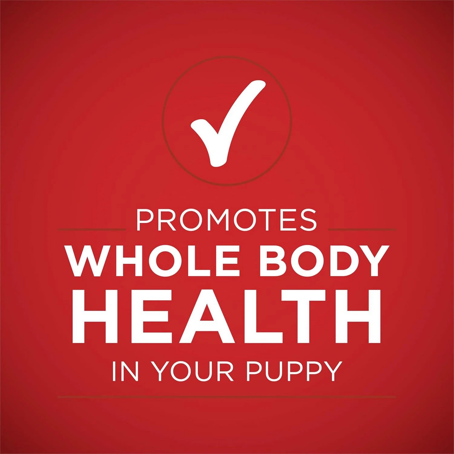 PURINA ONE HEALTHY PUPPY FORMULA - CAN