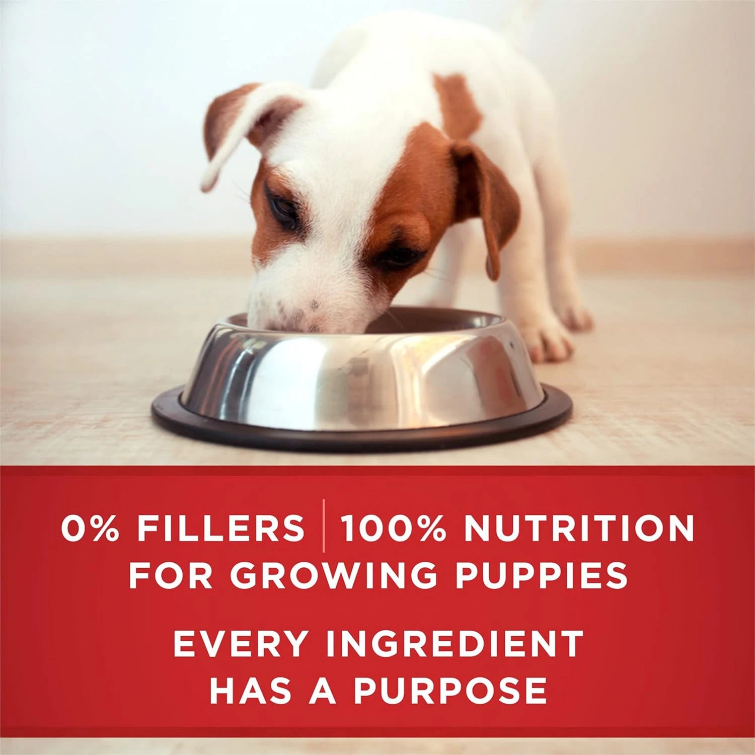 PURINA ONE HEALTHY PUPPY FORMULA - CAN