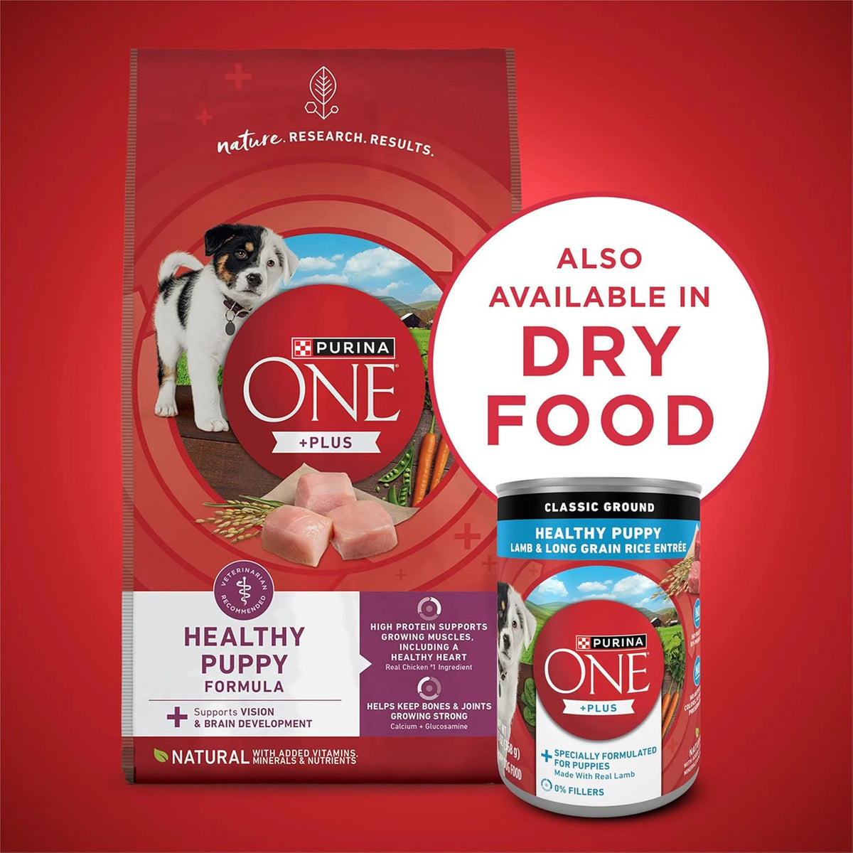 PURINA ONE HEALTHY PUPPY FORMULA - CAN