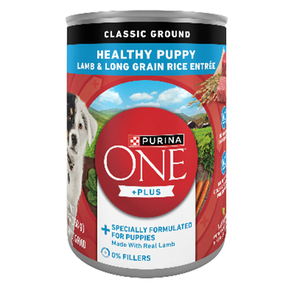 PURINA ONE HEALTHY PUPPY FORMULA - CAN