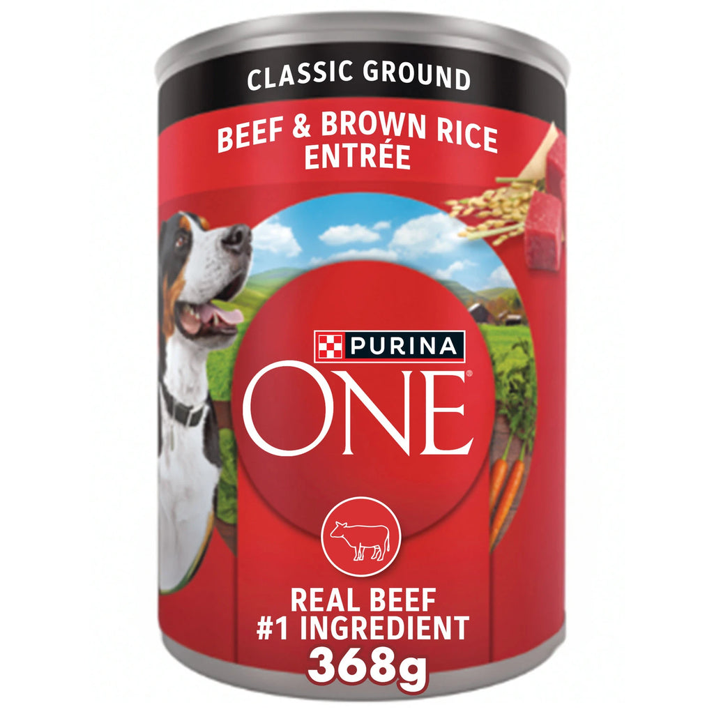 PURINA ONE BEEF & BROWN RICE -CAN