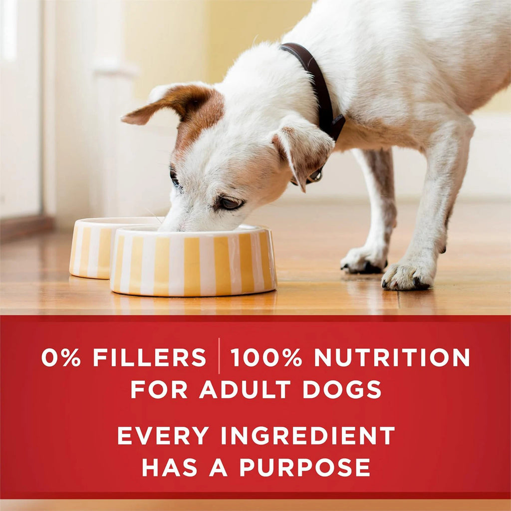 PURINA ONE BEEF & BROWN RICE -CAN