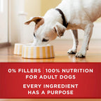 PURINA ONE BEEF & BROWN RICE -CAN