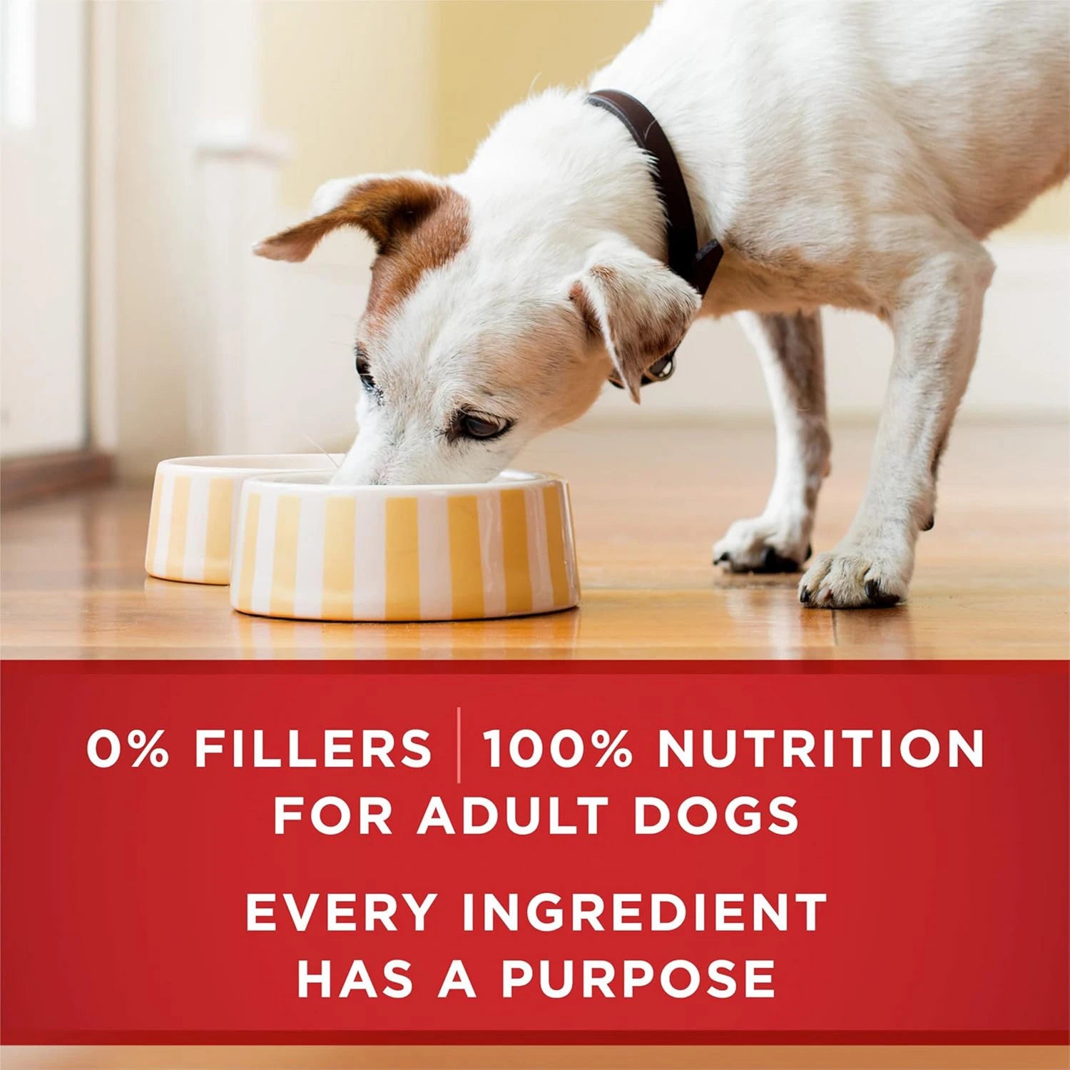 PURINA ONE BEEF & BROWN RICE -CAN