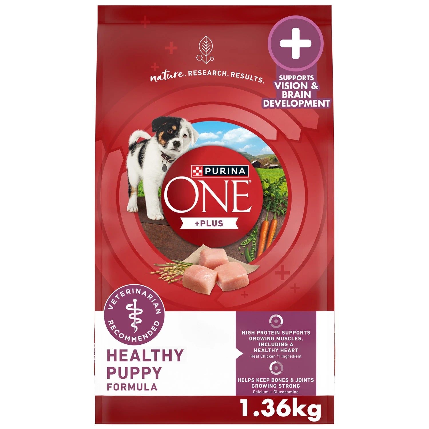 PURINA ONE HEALTHY PUPPY FORMULA DRY