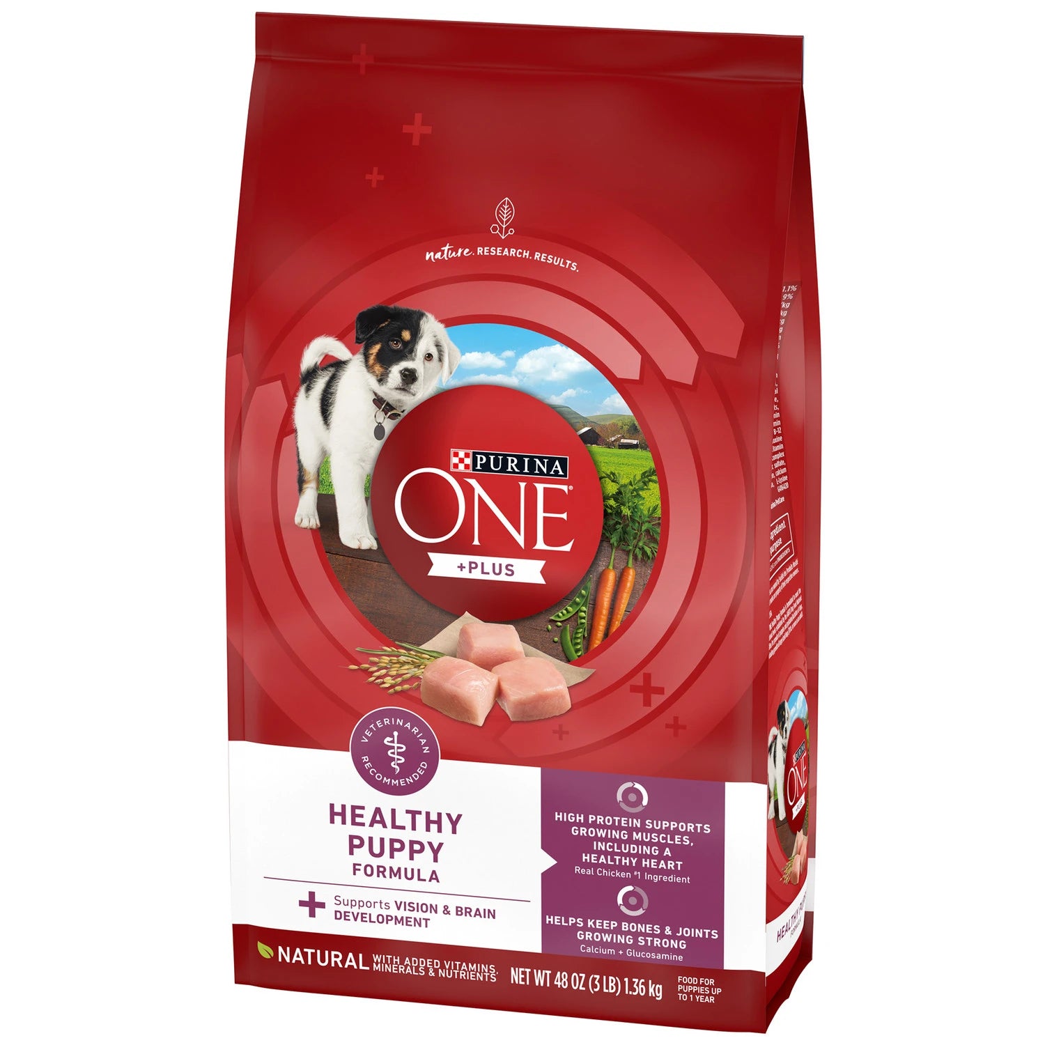 PURINA ONE HEALTHY PUPPY FORMULA DRY