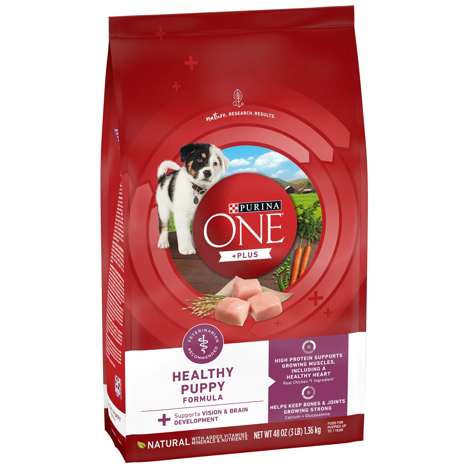 PURINA ONE HEALTHY PUPPY FORMULA DRY