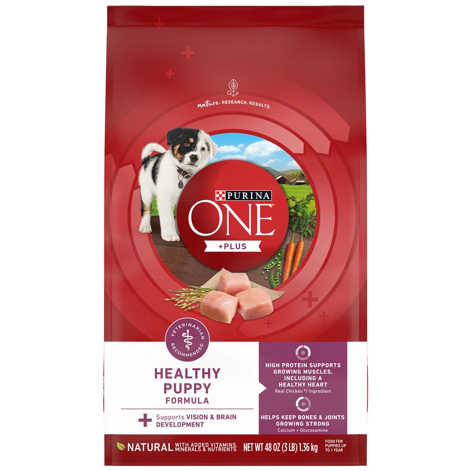 PURINA ONE HEALTHY PUPPY FORMULA DRY