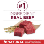 PURINA ONE  SMALL BITE BEEF RICE