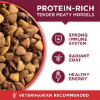 PURINA ONE  SMALL BITE BEEF RICE