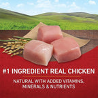 PURINA ONE CHICKEN RICE