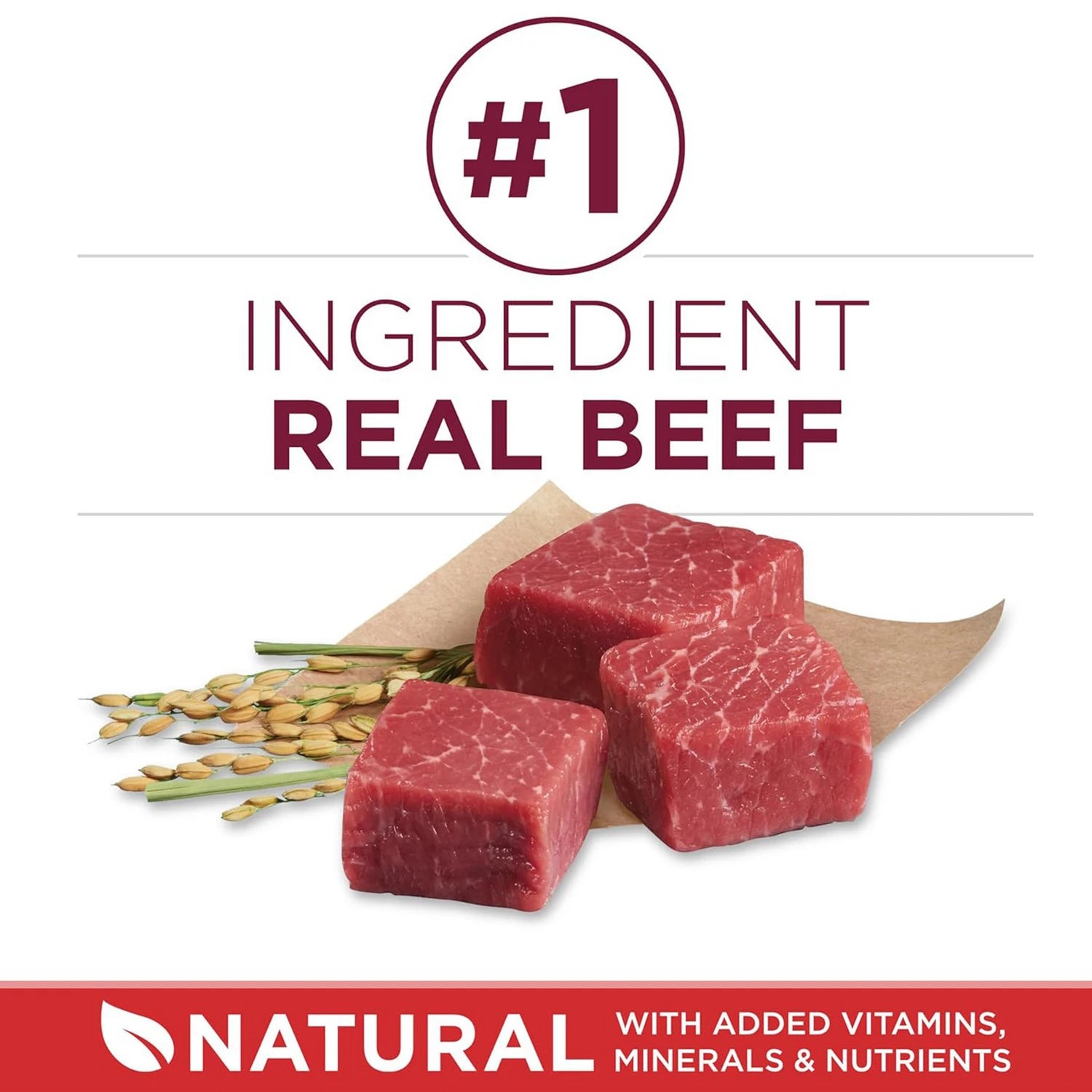 PURINA ONE  SMALL BITE BEEF RICE