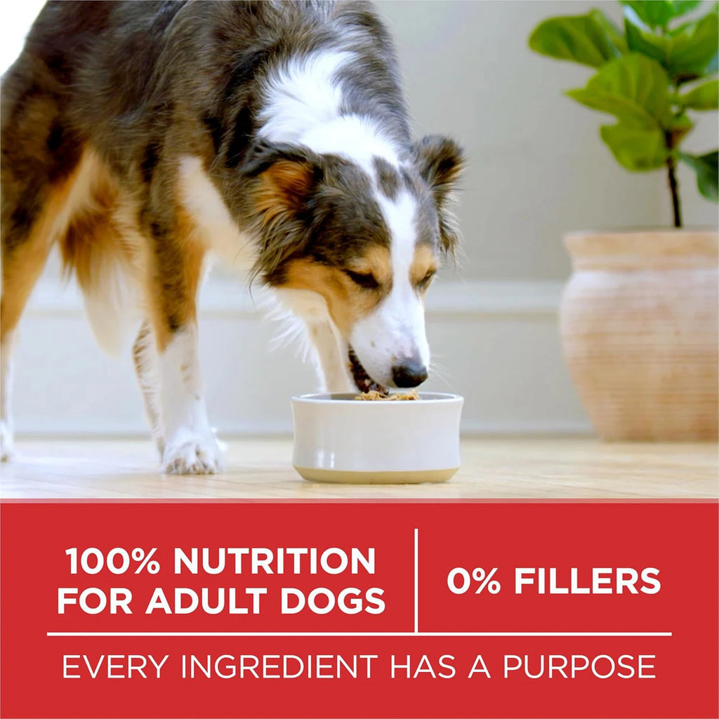 PURINA ONE  SMALL BITE BEEF RICE